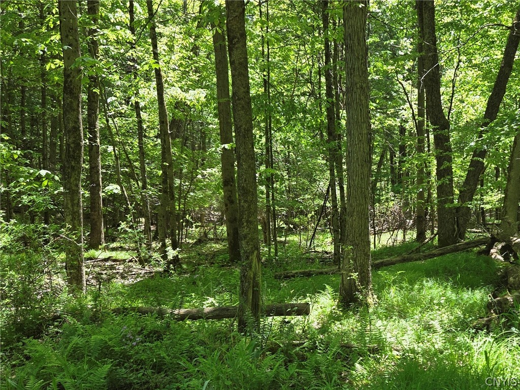 Lillibridge Road Olean, NY 14760 - Photo 18 of 48
