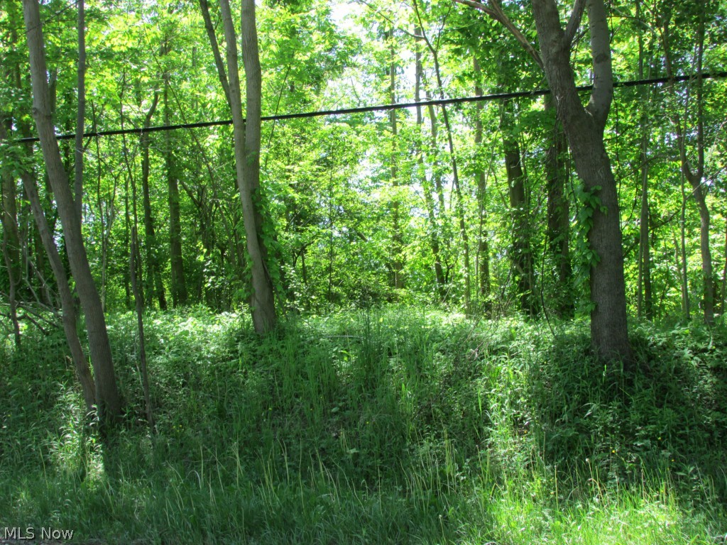 13553 Mayfield Road Chardon, OH 44024 - Photo 22 of 27 Gallery Image 22
