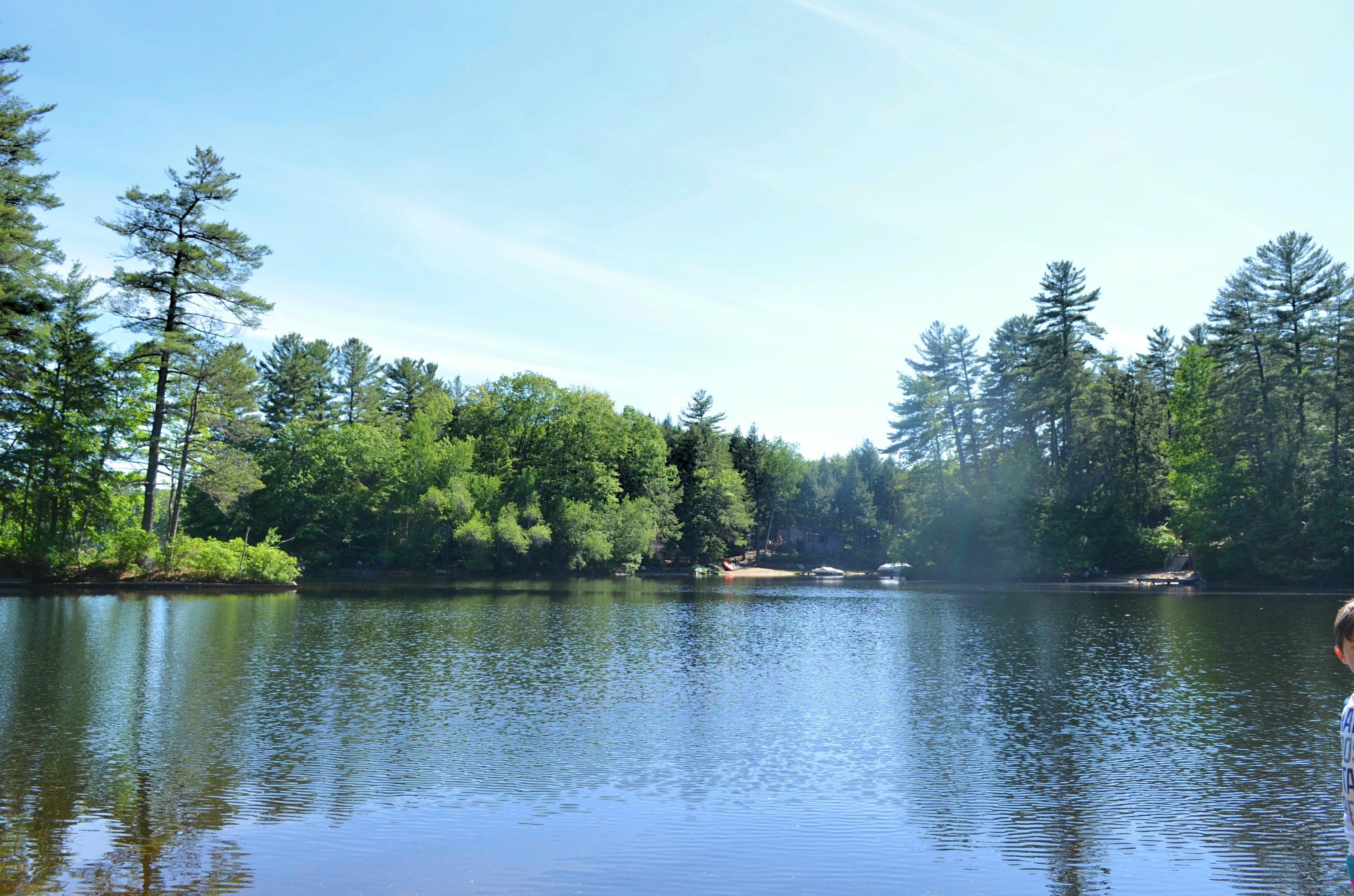 23 Butler Lane Limerick, ME 04048 - Photo 6 of 15 DSC_0136