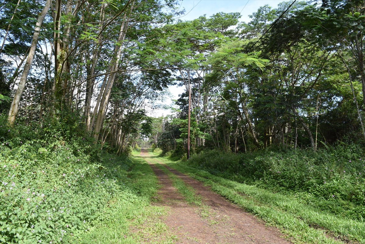 16 Pahoa Road Pahoa, HI 96778 - Photo 3 of 3 Gallery Image 3