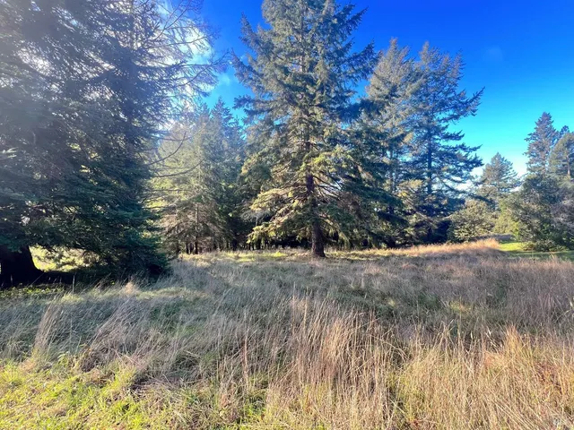 $120,000 | 38065 Foothill Close, The Sea Ranch, CA 95497