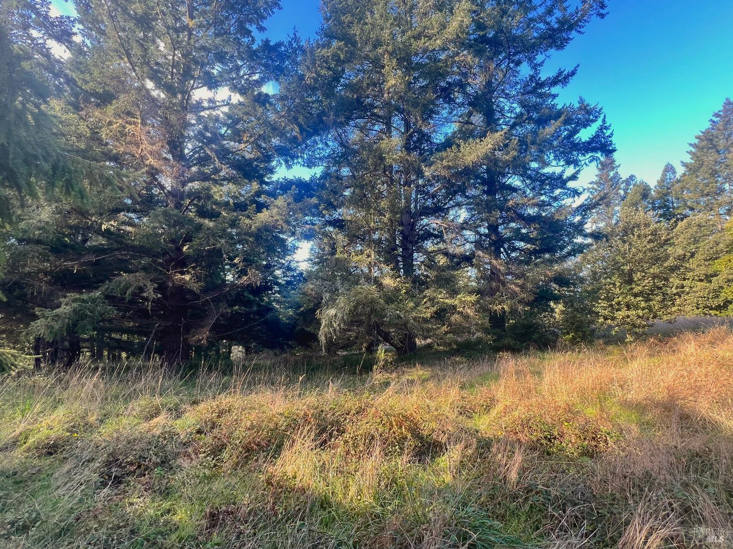 38065 Foothill Close The Sea Ranch, CA 95497 - Photo 4 of 10 a view of lake with green space