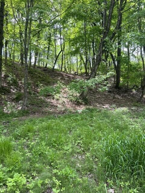 Parcel A West County Line Road Greenville, MI 48838 - Photo 8 of 14 P7