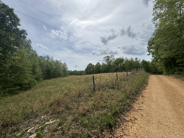 637 Hargis Road Bumpus Mills, TN 37028 - Photo 7 of 17