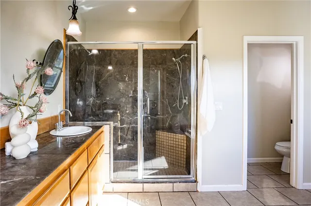 a bathroom with a granite countertop sink a toilet and shower