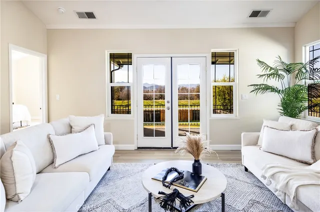 a living room with furniture potted plant and a large window