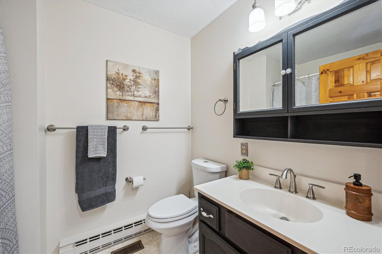 20025 Flint Lane Morrison, CO 80465 - Photo 20 of 35 a bathroom with a sink a toilet and mirror