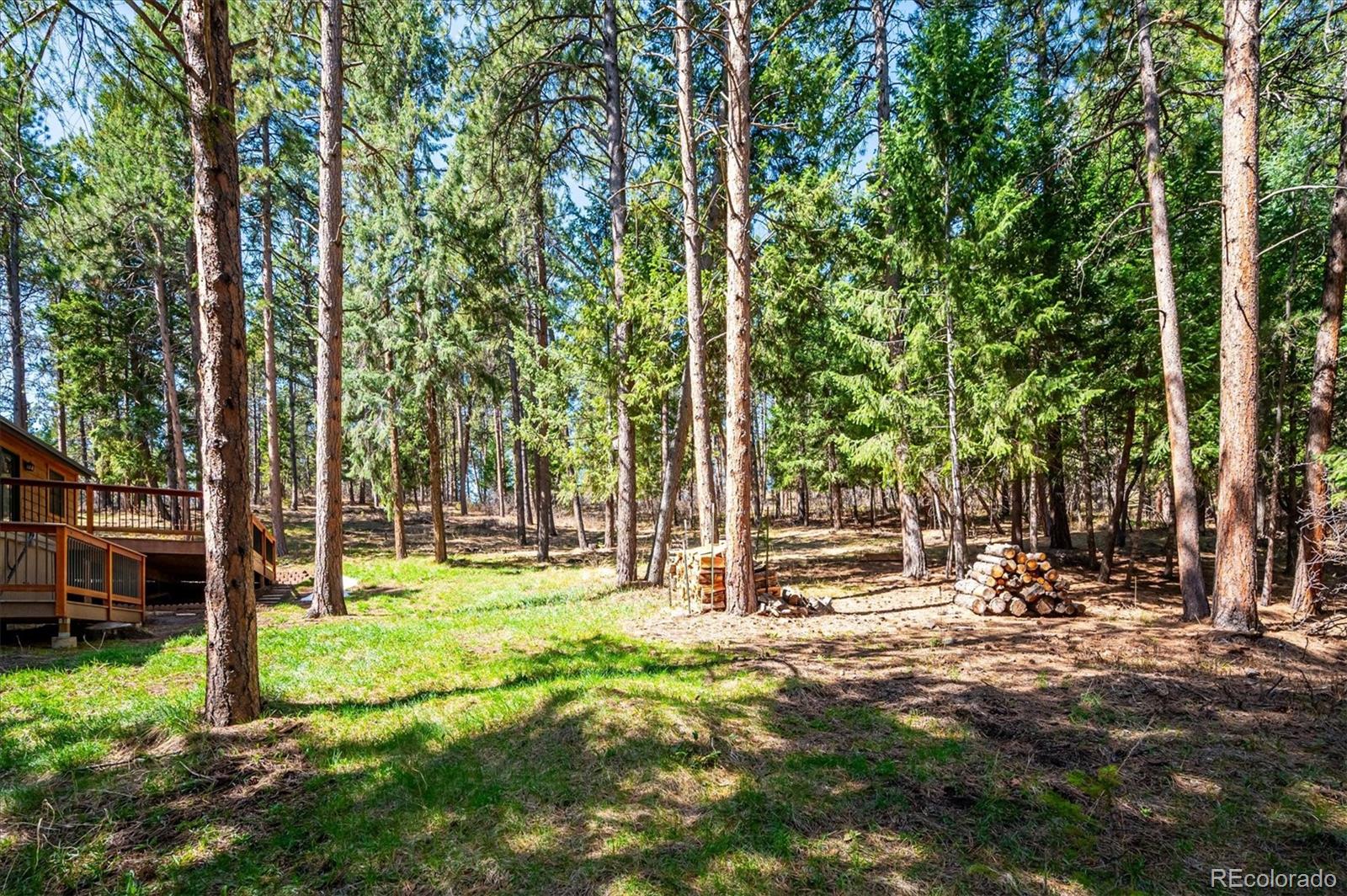 20025 Flint Lane Morrison, CO 80465 - Photo 31 of 35 a view of a park with a tree
