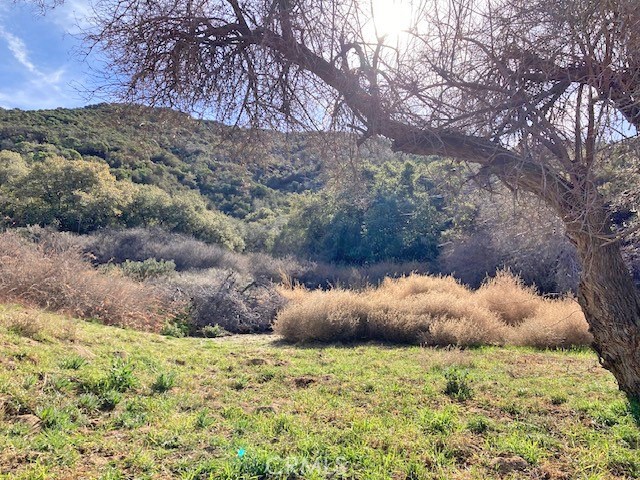 0 Calle Rosalito Green Valley, CA 91390 - Photo 4 of 8 a big yard of the house