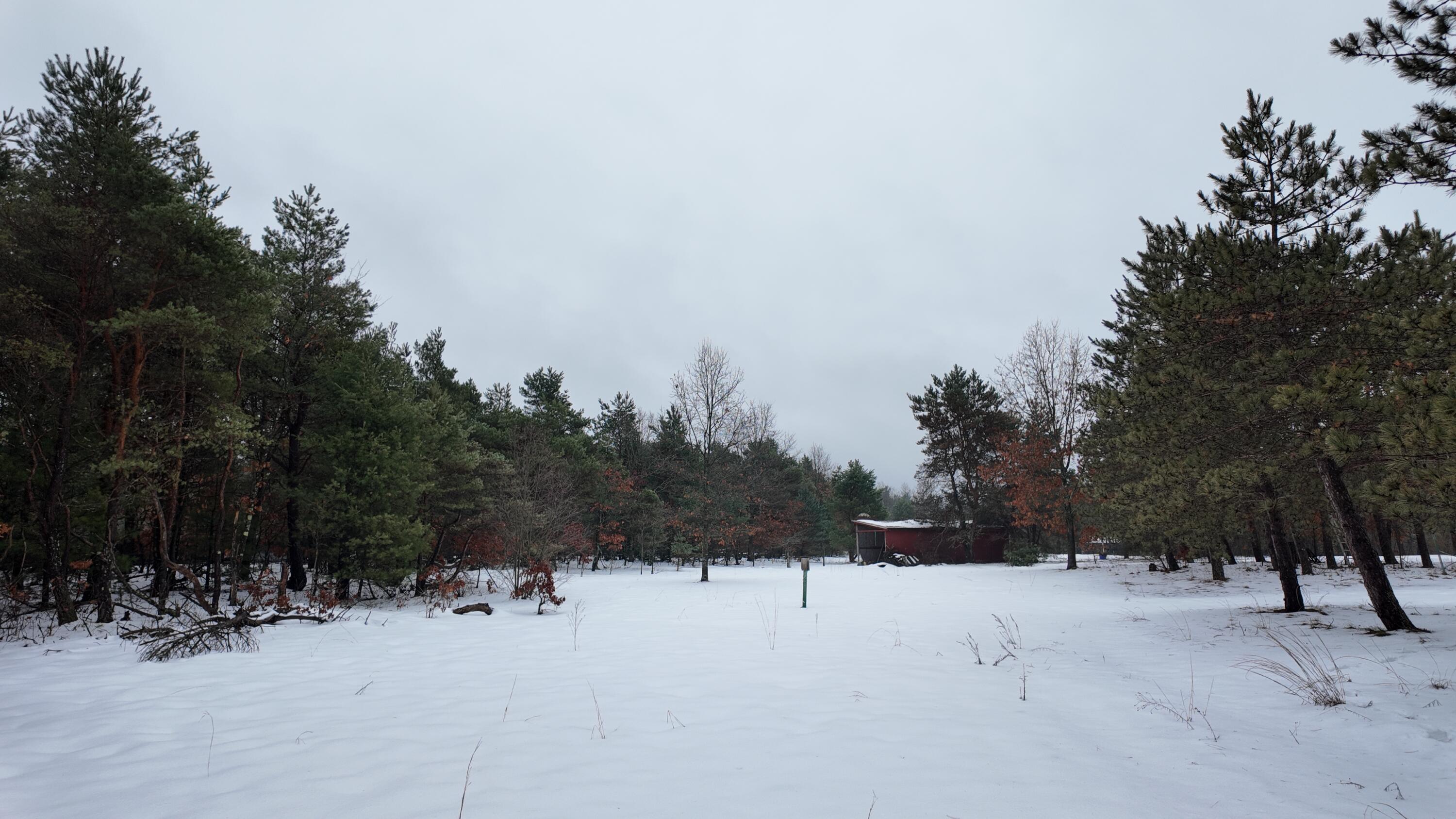 4901 Brunswick Road Holton, MI 49425 - Photo 7 of 29 DJI_20260107125651_0051_D