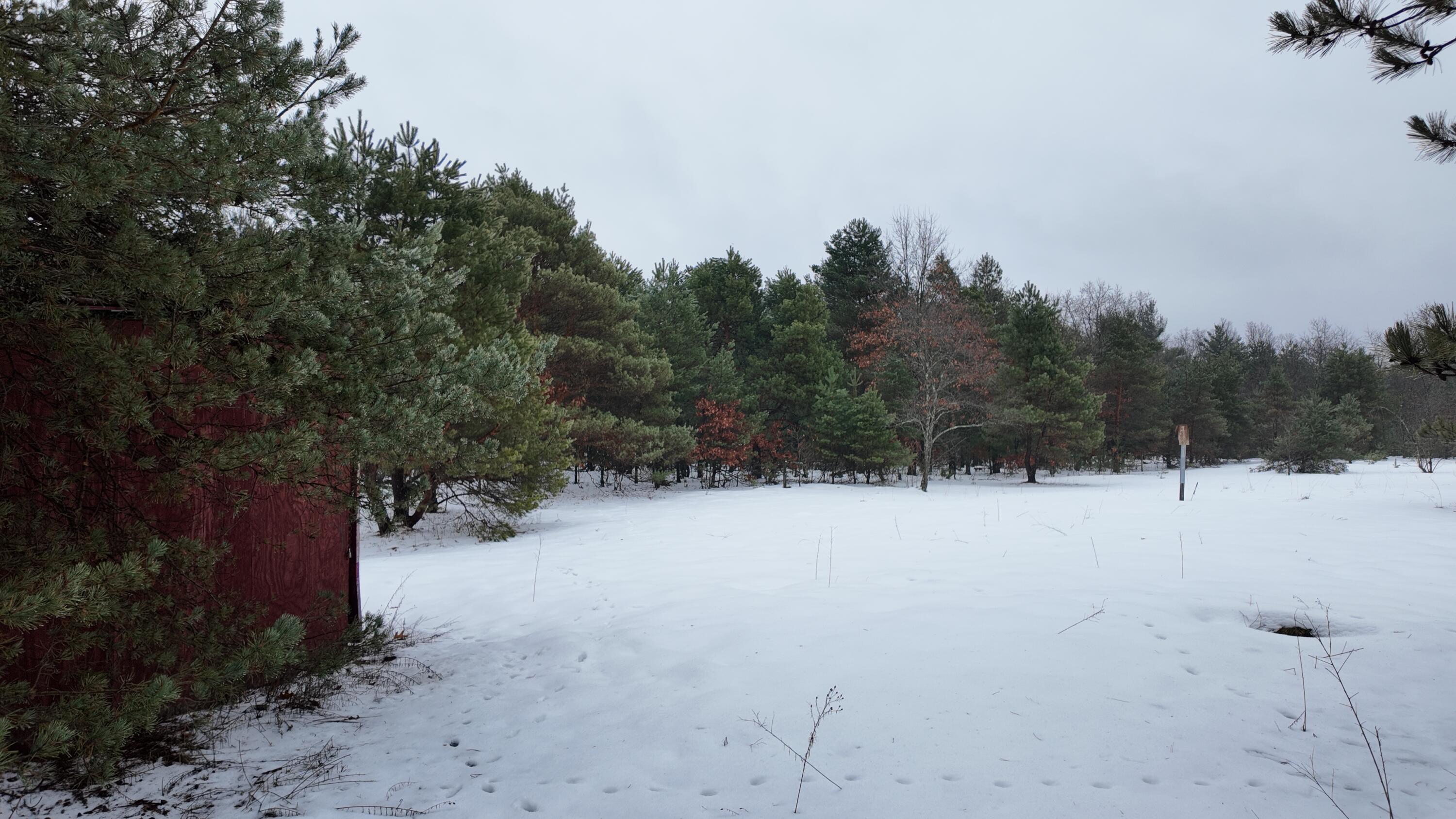 4901 Brunswick Road Holton, MI 49425 - Photo 8 of 29 DJI_20260107125743_0052_D