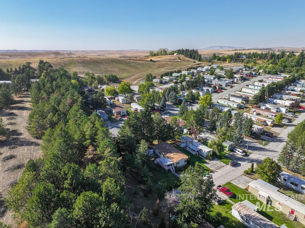 609 North Almon Street, Unit 2011 Moscow, ID 83843 - Photo 45 of 45 Aerial view of residential area