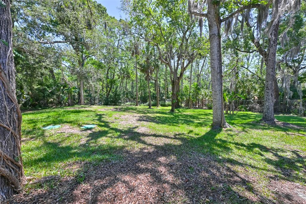 1578 Indian Bay Road Spring Hill, FL 34607 - Photo 38 of 51 a view of a park with a tree
