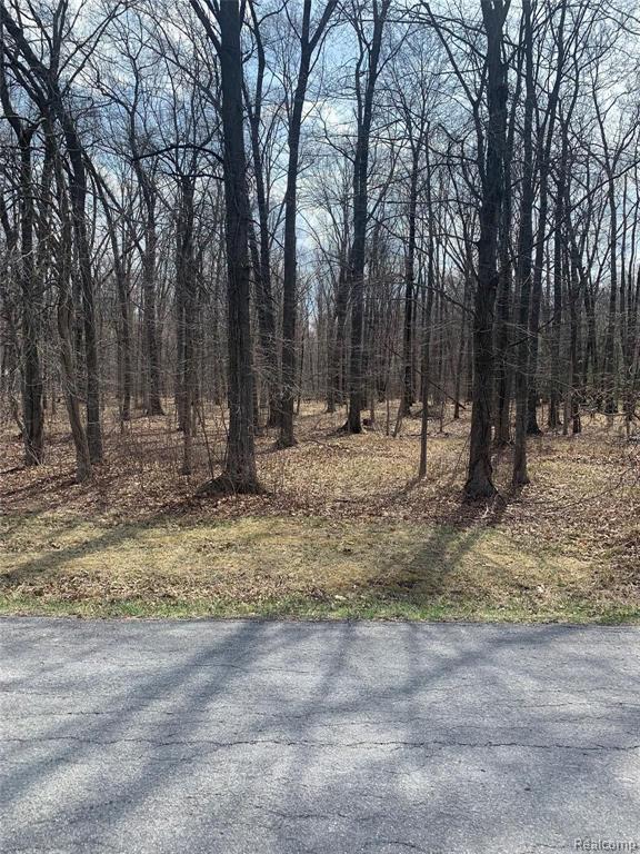 10921 Darling Road Milan, MI 48160 - Photo 1 of 2 Gallery Image 1