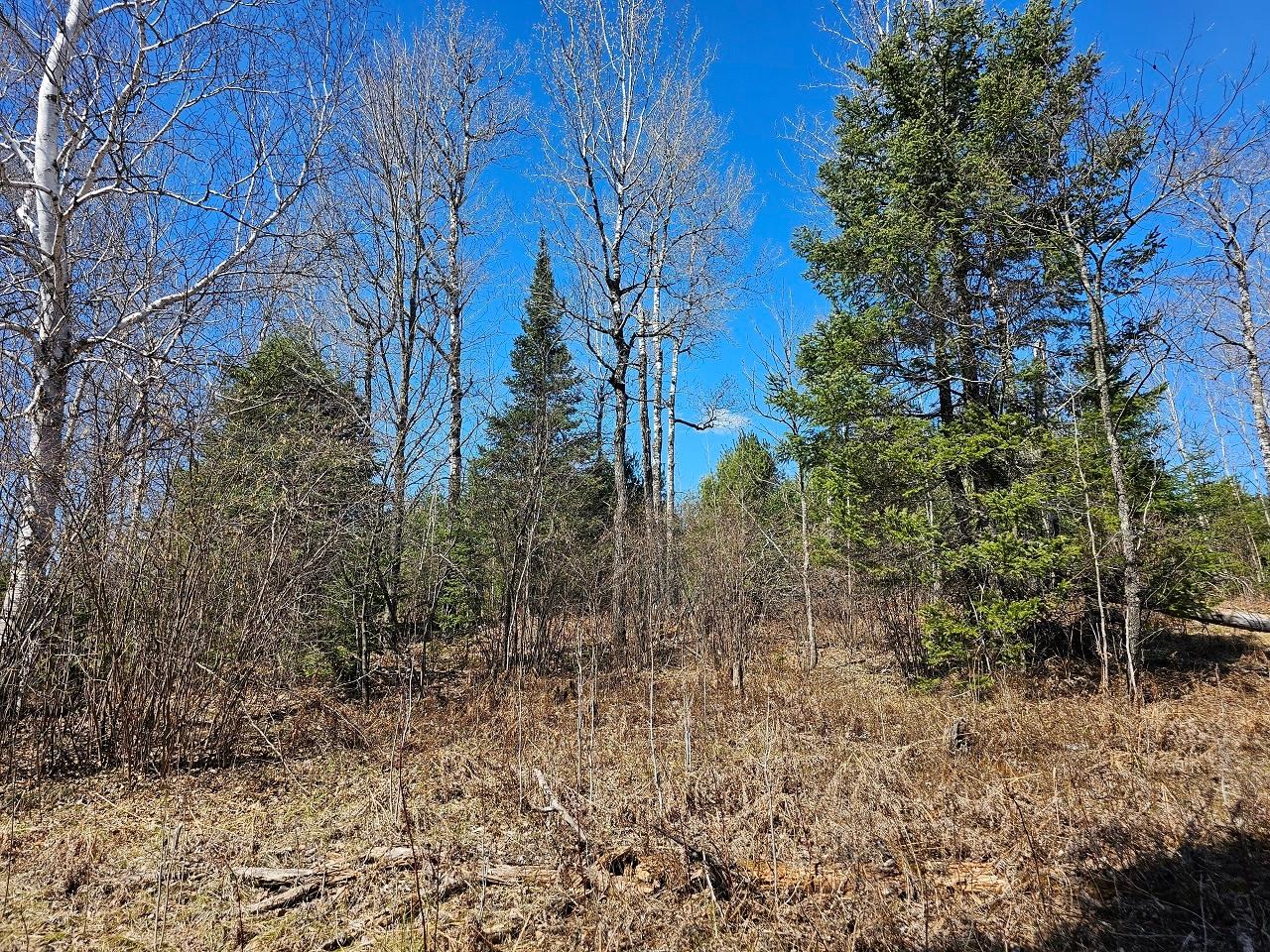 Lot 9 Weber Lake Road Mercer, WI 54547 - Photo 7 of 15 Gallery Image 7