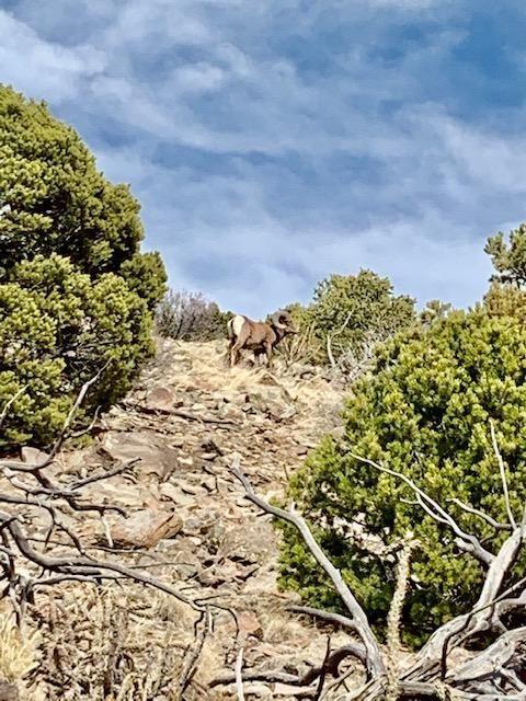 Tbd Ketchum Road Walsenburg, CO 81089 - Photo 2 of 22