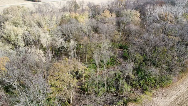 a view of outdoor space with trees