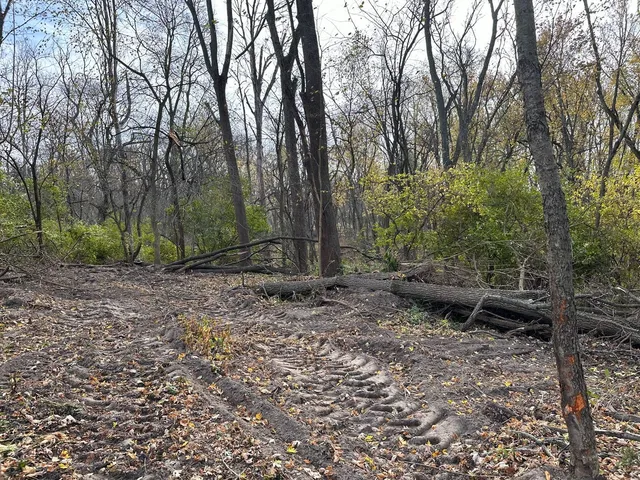 a view of a pathway with a yard