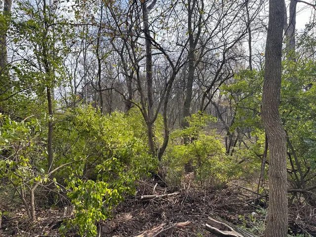 $169,900 | 1536 North 2200 East Road, Watseka, IL 60970