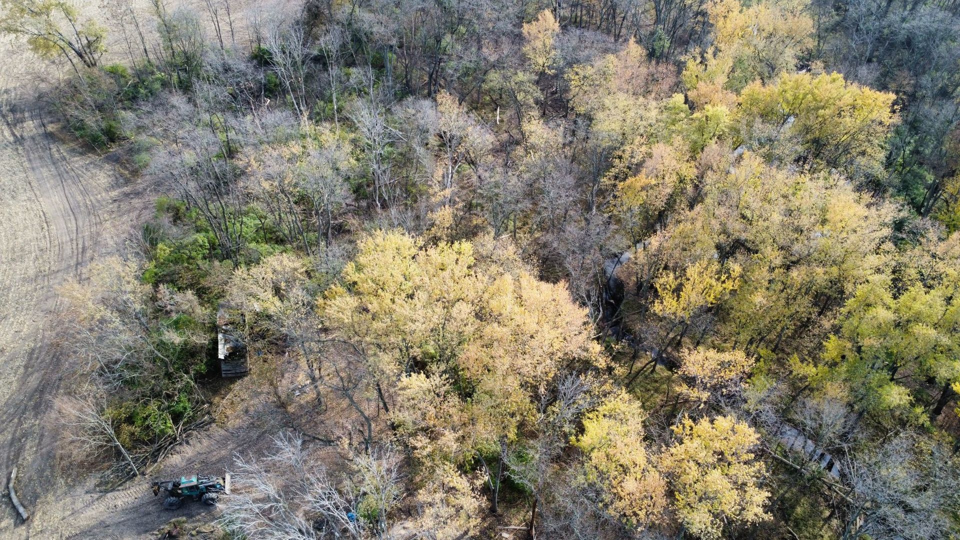 1536 North 2200 East Road Watseka, IL 60970 - Photo 2 of 16 a view of a yard covered with trees