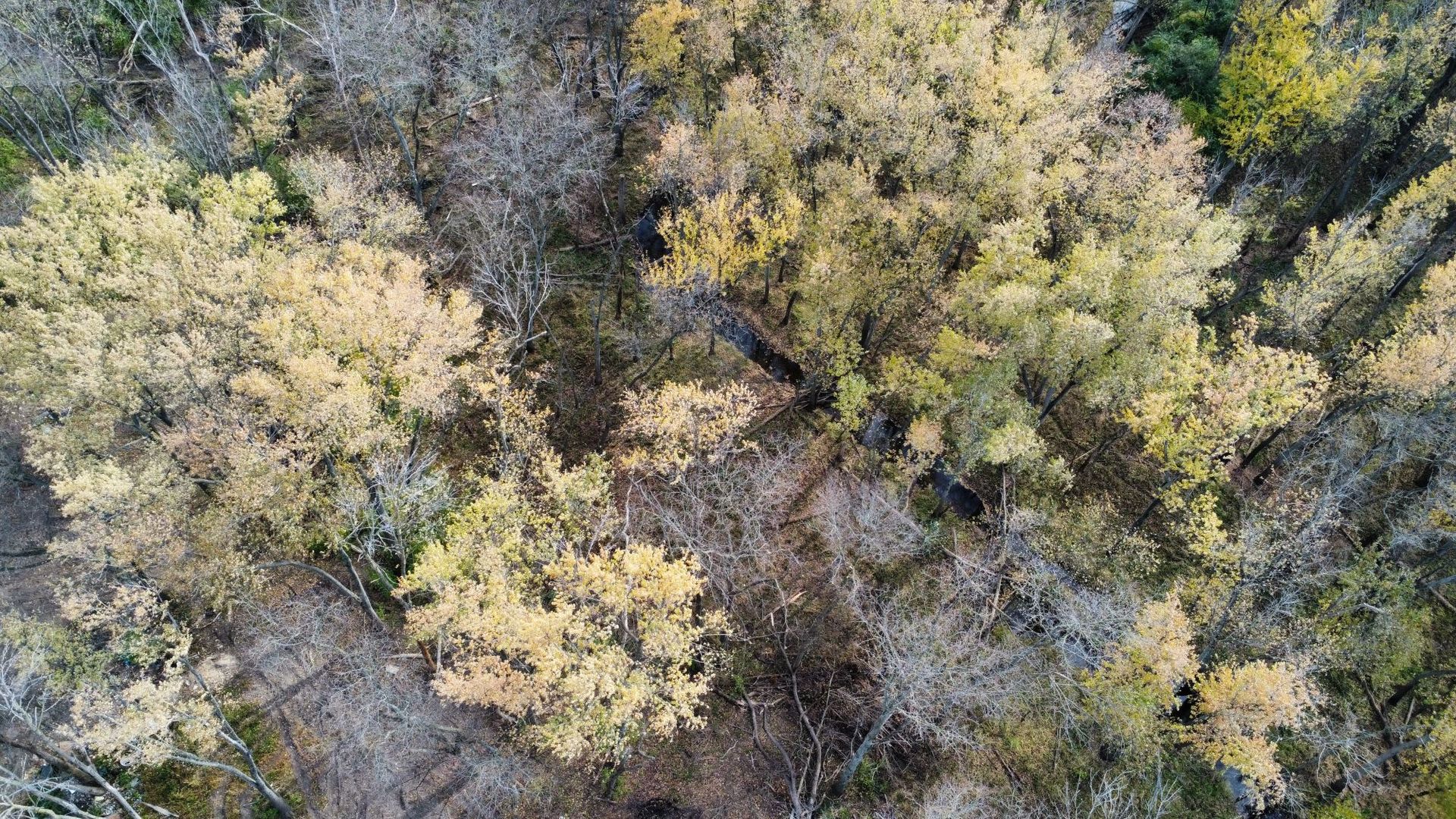 1536 North 2200 East Road Watseka, IL 60970 - Photo 3 of 16 a view of a yard