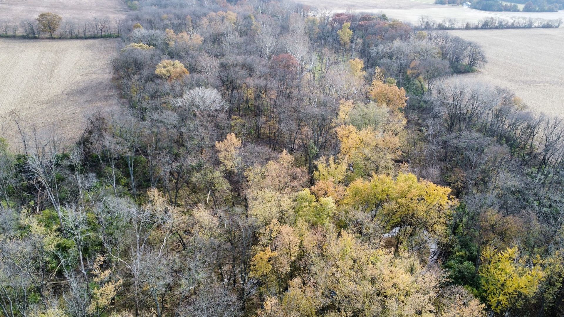 1536 North 2200 East Road Watseka, IL 60970 - Photo 4 of 16 a view of a yard