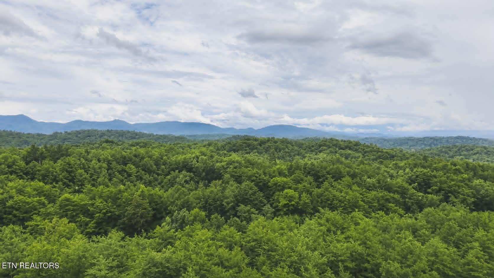 Buck Horn Road Sevierville, TN 37876 - Photo 5 of 9 b613a94e-6918-41ae-99ce-f35355b05e17