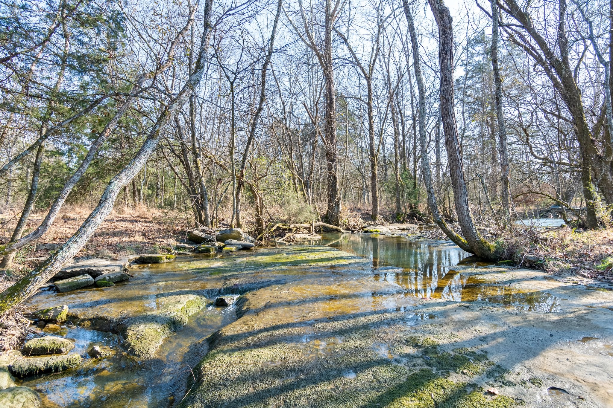 8391 Sims Road Christiana, TN 37037 - Photo 20 of 21 Gallery Image 20