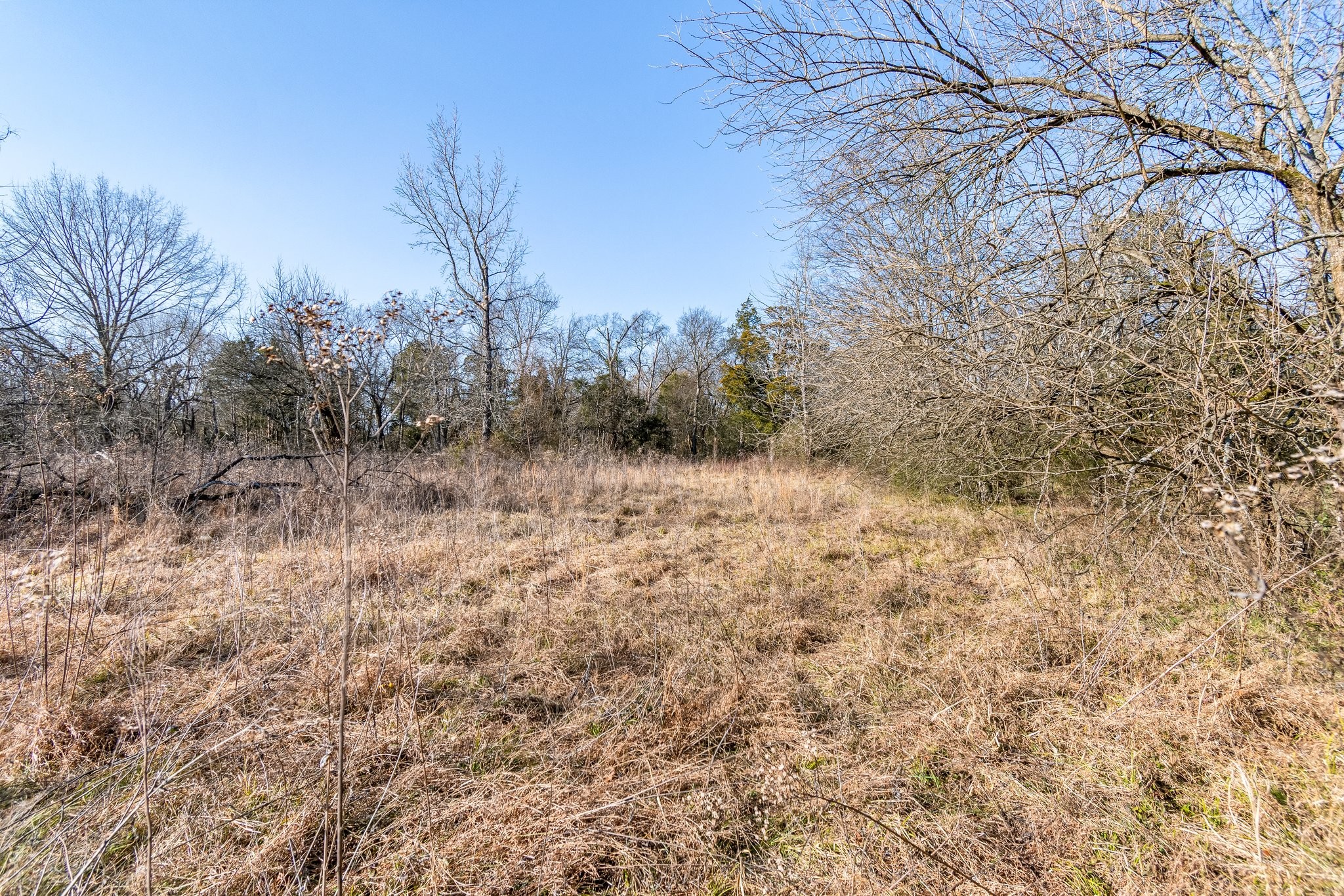 8391 Sims Road Christiana, TN 37037 - Photo 5 of 21 Gallery Image 5