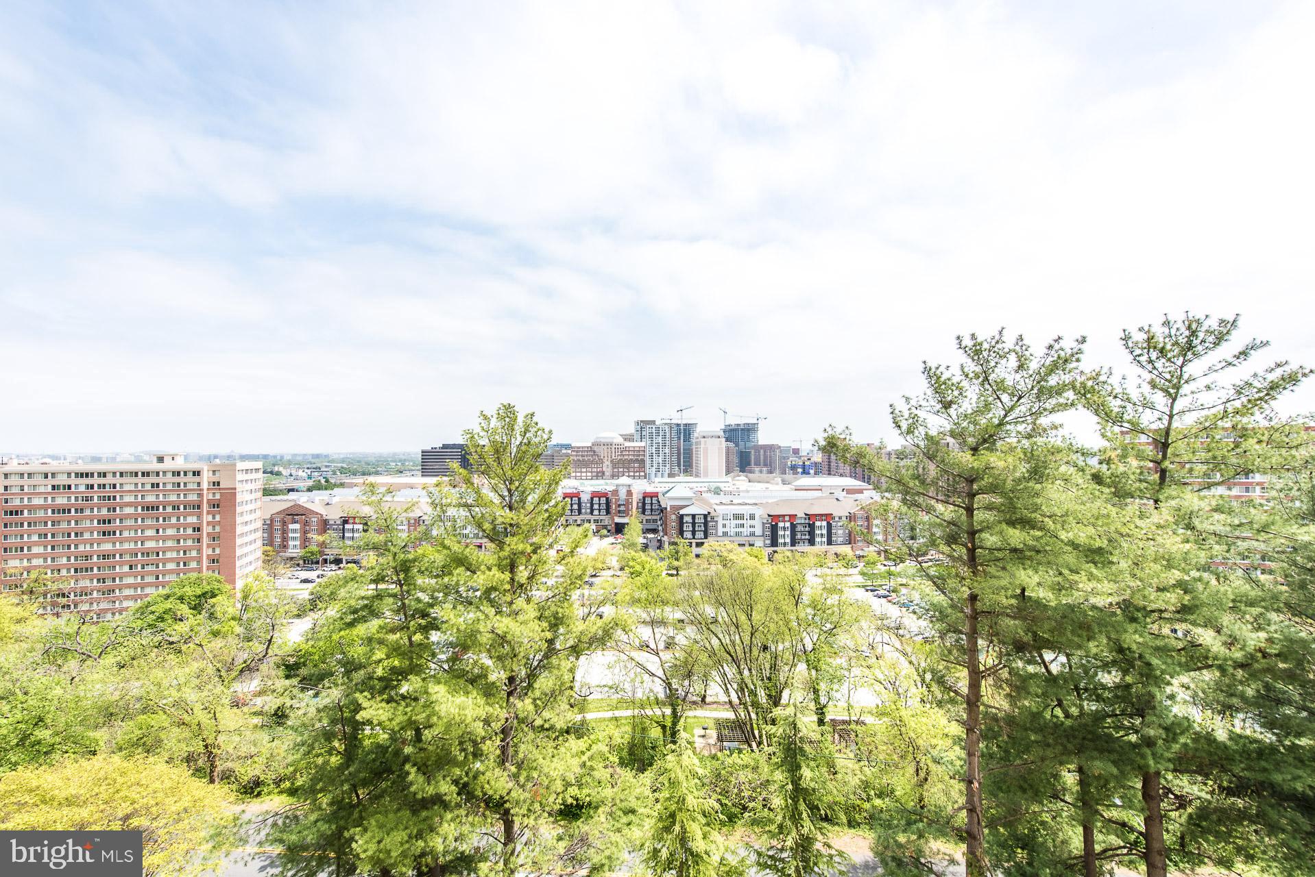 1101 South Arlington Ridge Road, Unit 707 Arlington, VA 22202 - Photo 36 of 48