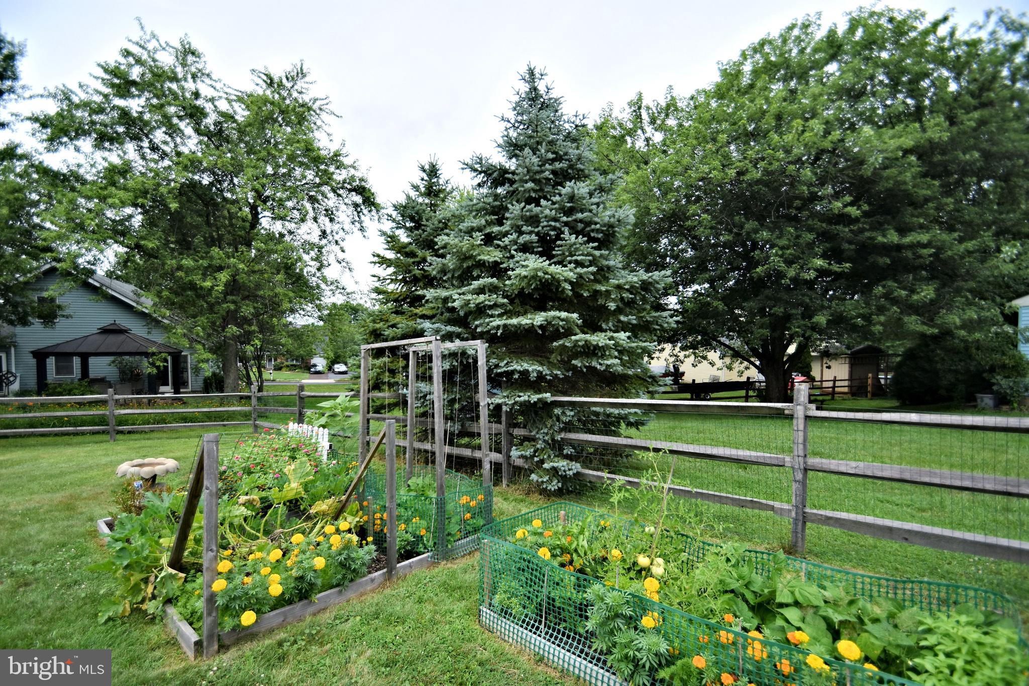 100 Olde Pilgrim Road Dublin, PA 18917 - Photo 35 of 41 Bring the outdoors in with your cut flower garden