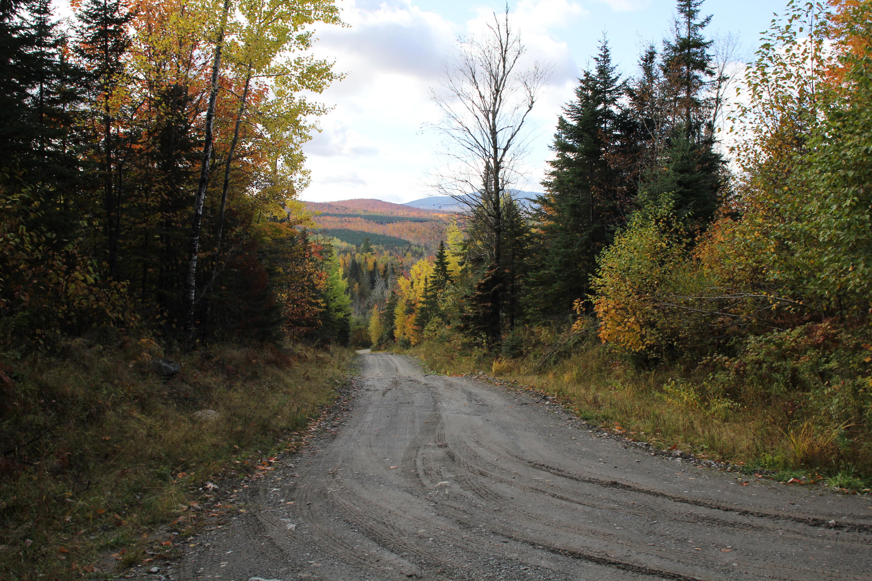 0 Off Route 27 Road Eustis, ME 04936 - Photo 10 of 10 IMG_6564