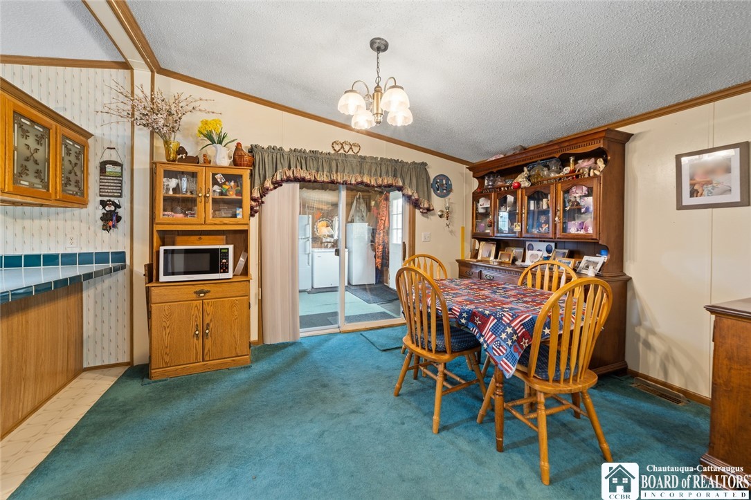2795 Ball Road Cassadaga, NY 14718 - Photo 33 of 44