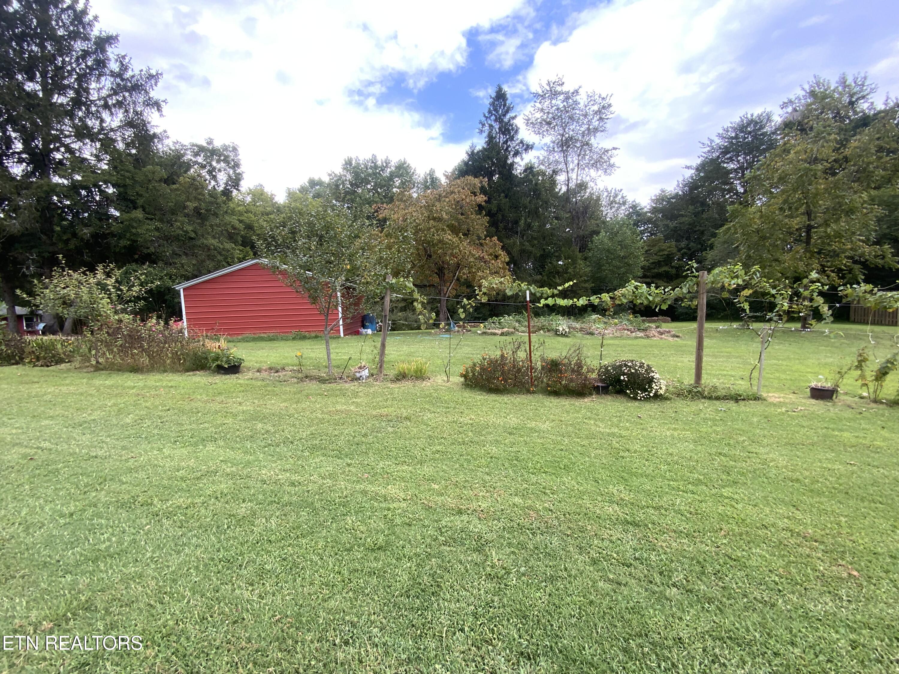 318 Branch Lane Clinton, TN 37716 - Photo 9 of 59 IMG_8224