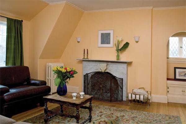 27 Cheswick Road Newton, MA 02466 - Photo 6 of 6 a living room with furniture and a fireplace