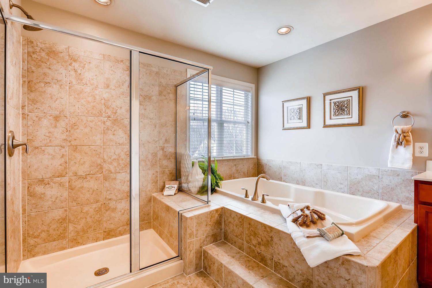 9915 Harford Road Baltimore, MD 21234 - Photo 20 of 30 Bath (Master)