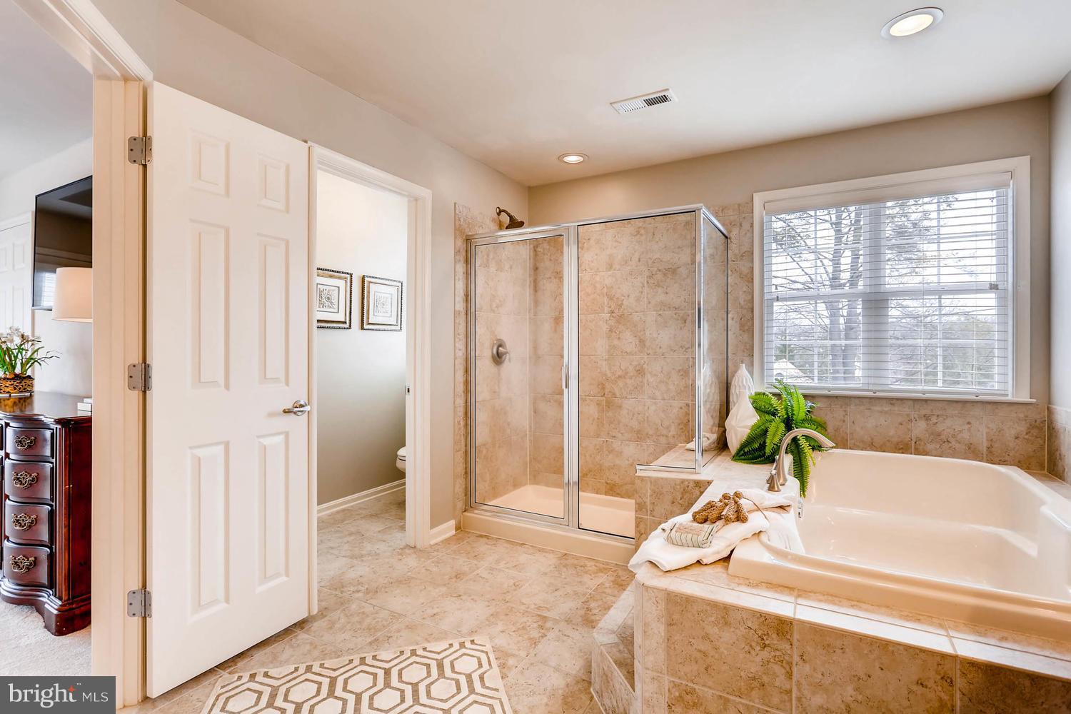9915 Harford Road Baltimore, MD 21234 - Photo 21 of 30 Bath (Master)