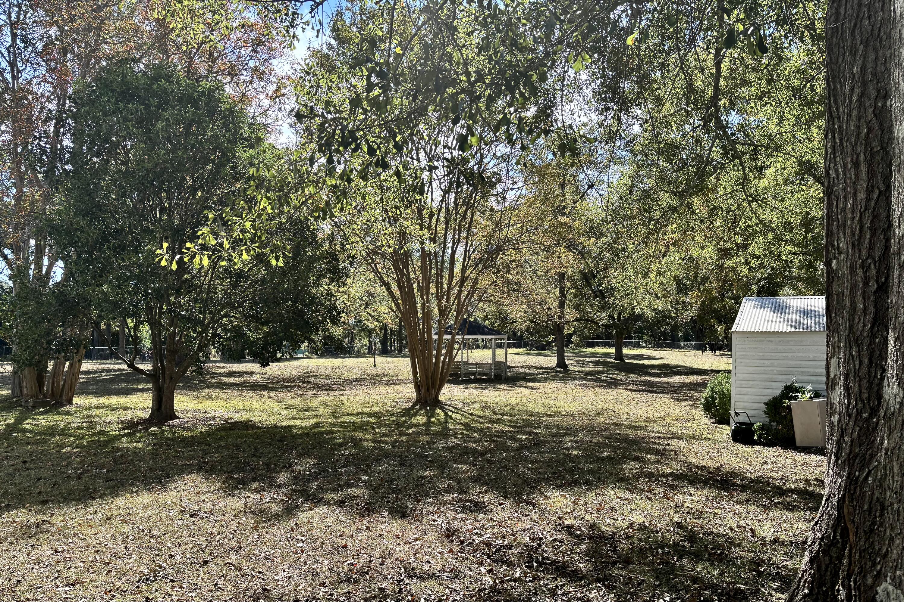 123 Lee Street Thomson, GA 30824 - Photo 13 of 14 Side yard
