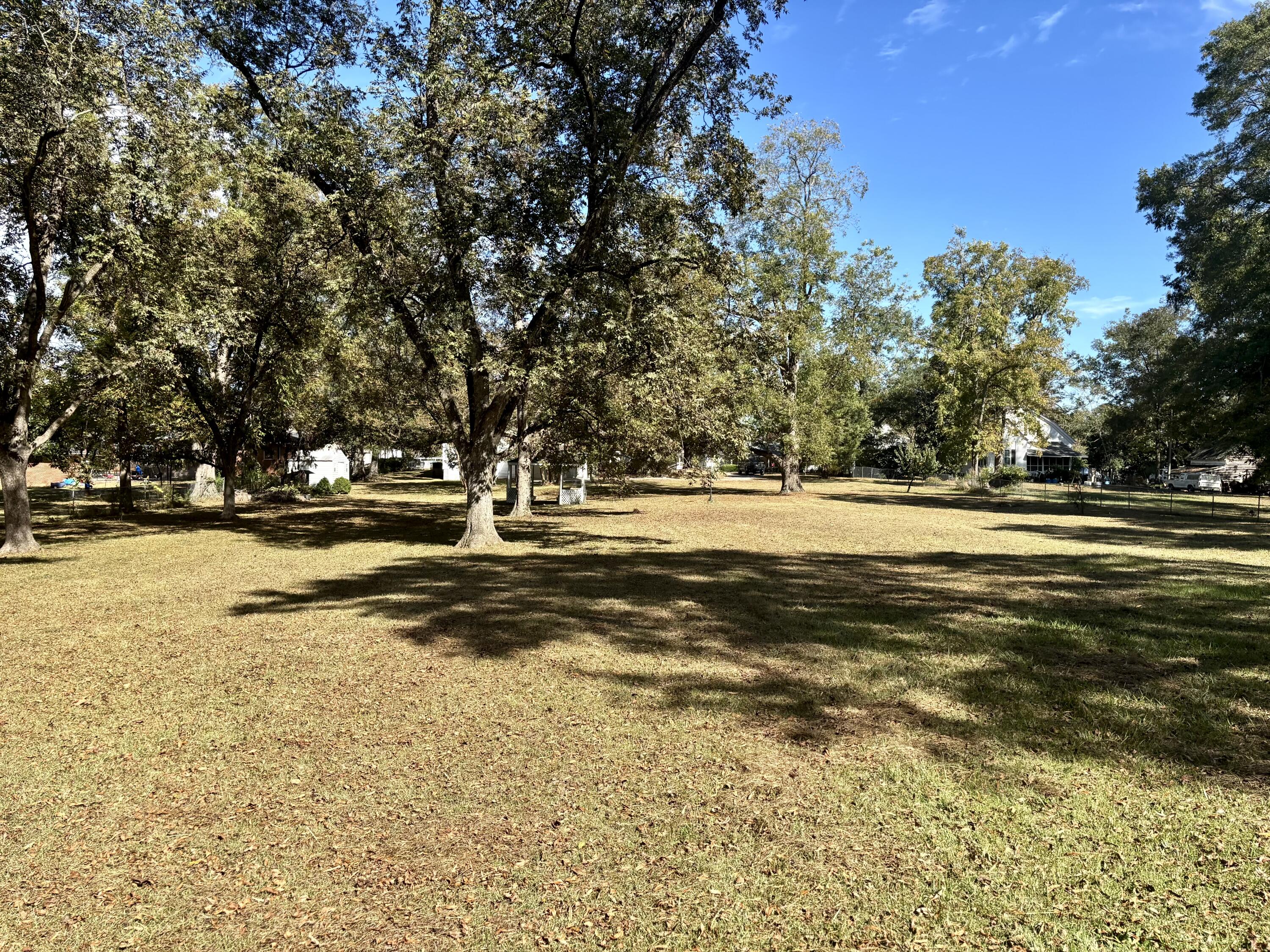 123 Lee Street Thomson, GA 30824 - Photo 14 of 14 Back yard