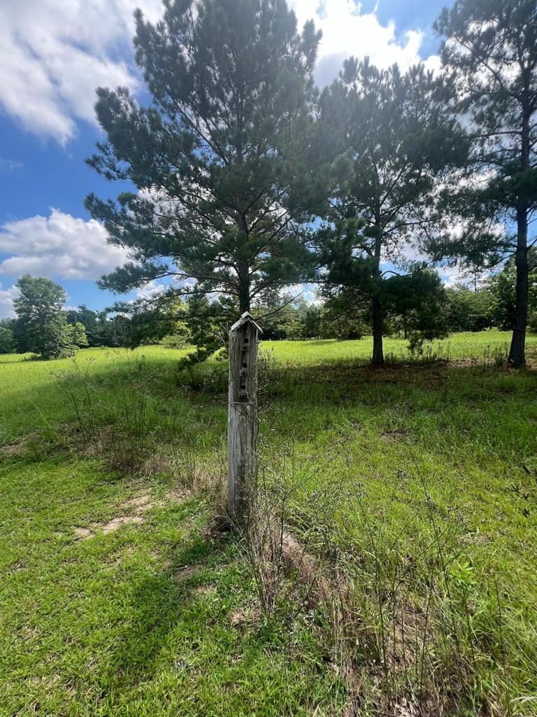 230 Martin Road Slocomb, AL 36375 - Photo 19 of 27