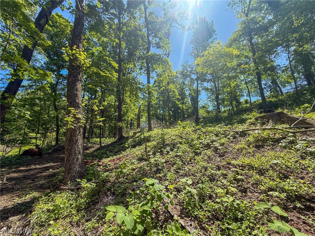 Lot 4 Altamont Road Mingo Junction, OH 43938 - Photo 17 of 27 Gallery Image 17