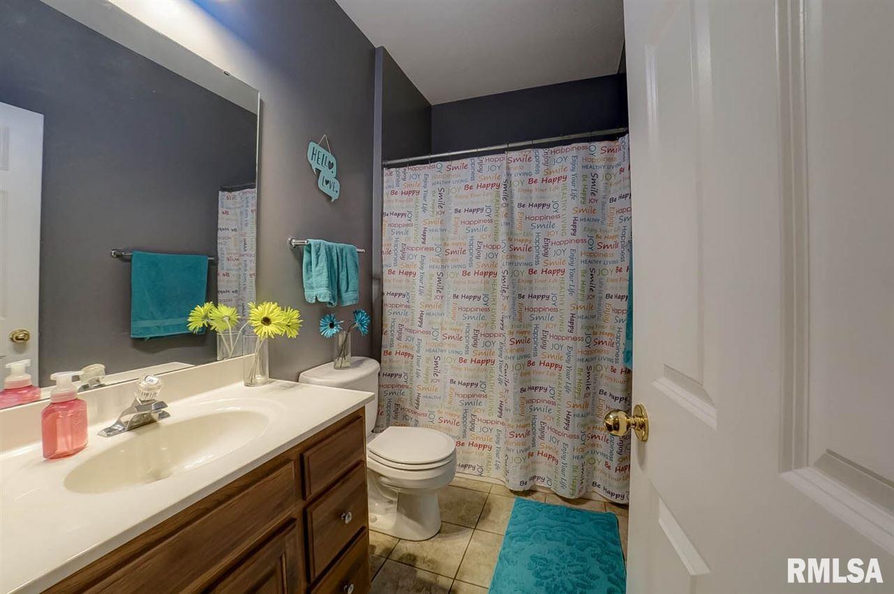 306 Eagle Ridge Drive Chatham, IL 62629 - Photo 34 of 36 Gallery Image 34