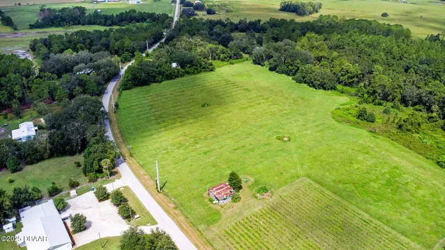 a view of yard from outdoor space