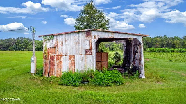 a view of a back yard with a big yard potted plants and large tree