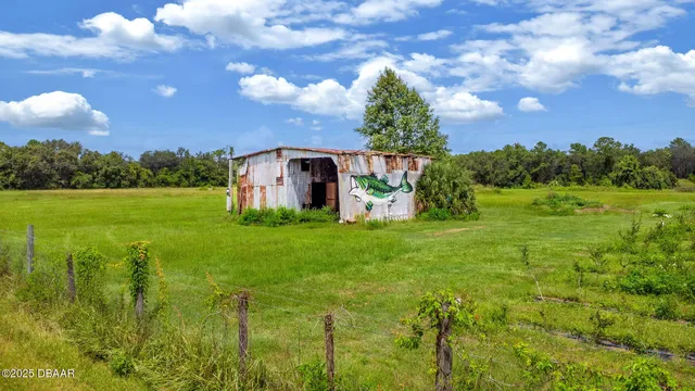 a view of a big yard with potted plants and large tree