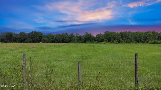 a view of a lush green outdoor space with a lake view