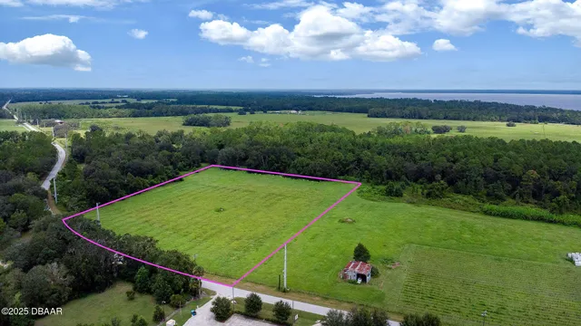 a view of a big yard with potted plants and large trees