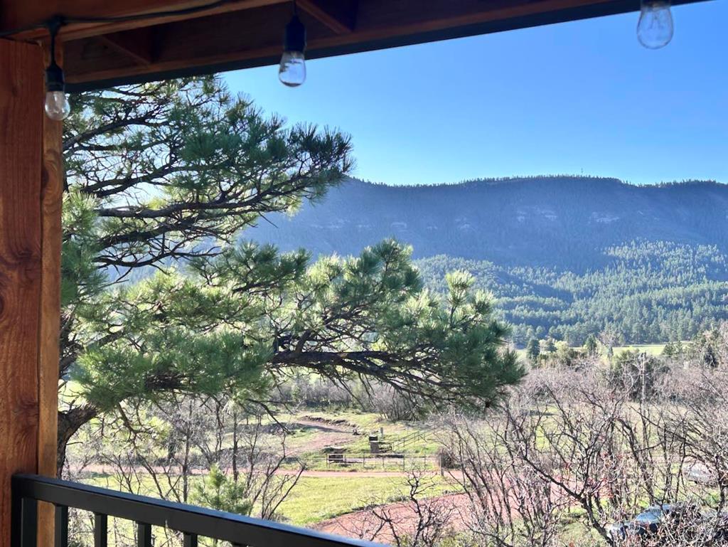 8951 Columbine Road Beulah, CO 81023 - Photo 26 of 33 Gallery Image 26