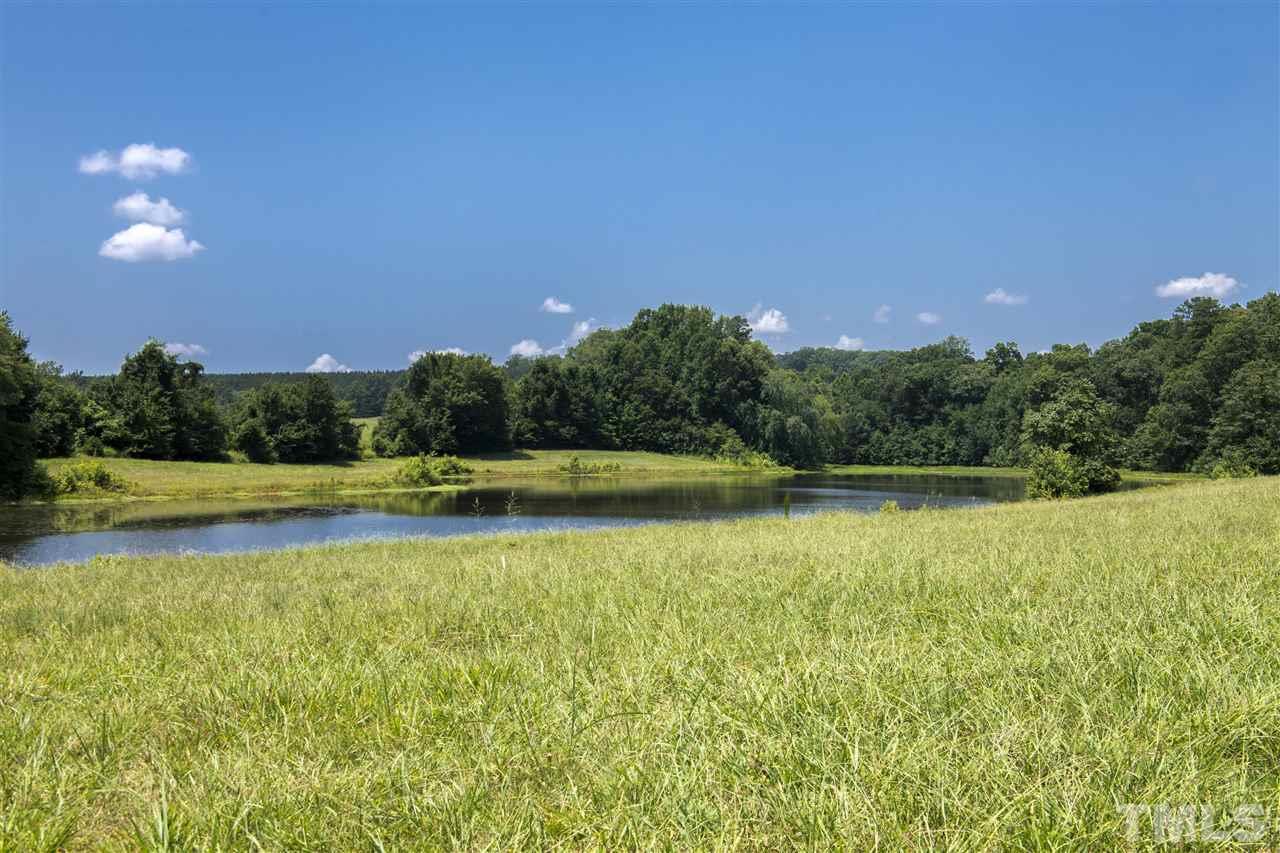 602 Quail Roost Farm Road Rougemont, NC 27572 - Photo 14 of 30