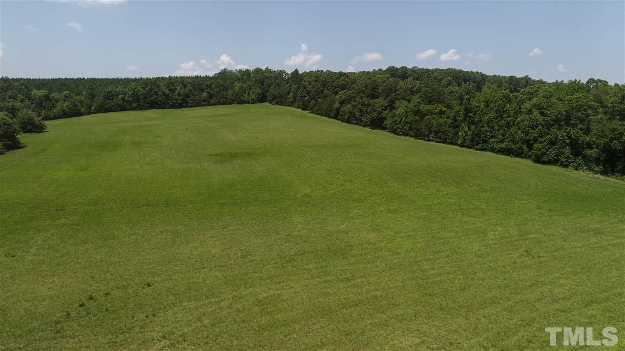 602 Quail Roost Farm Road Rougemont, NC 27572 - Photo 15 of 30